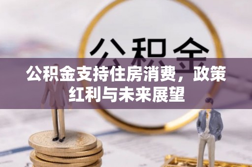 汇川公积金支持住房消费，政策红利与未来展望
